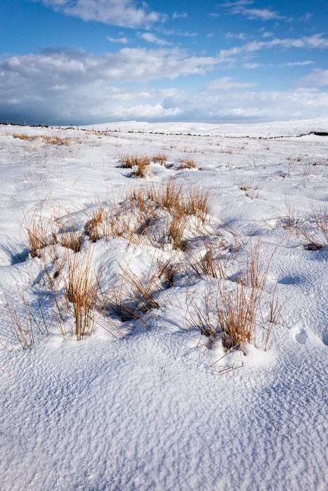 Sony RX10, ISO80, f/6.3, 1/400".