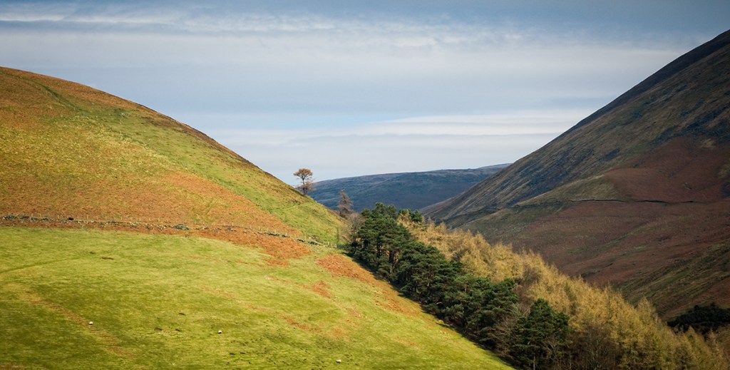 Sony RX10, ISO80, f/5.6, 1/250".