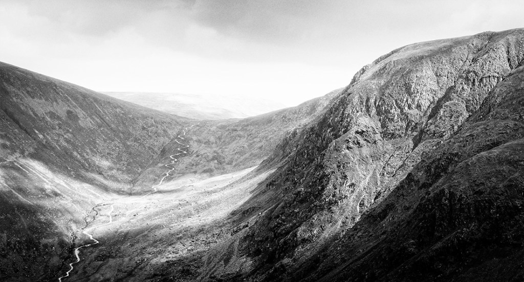 Olympus EM5 + Panasonic 14-45 lens. ISO200, 1/200" at f/8.0