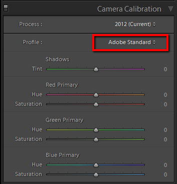 Camera Calibration tab in Lightroom with the Adobe Standard profile selected.