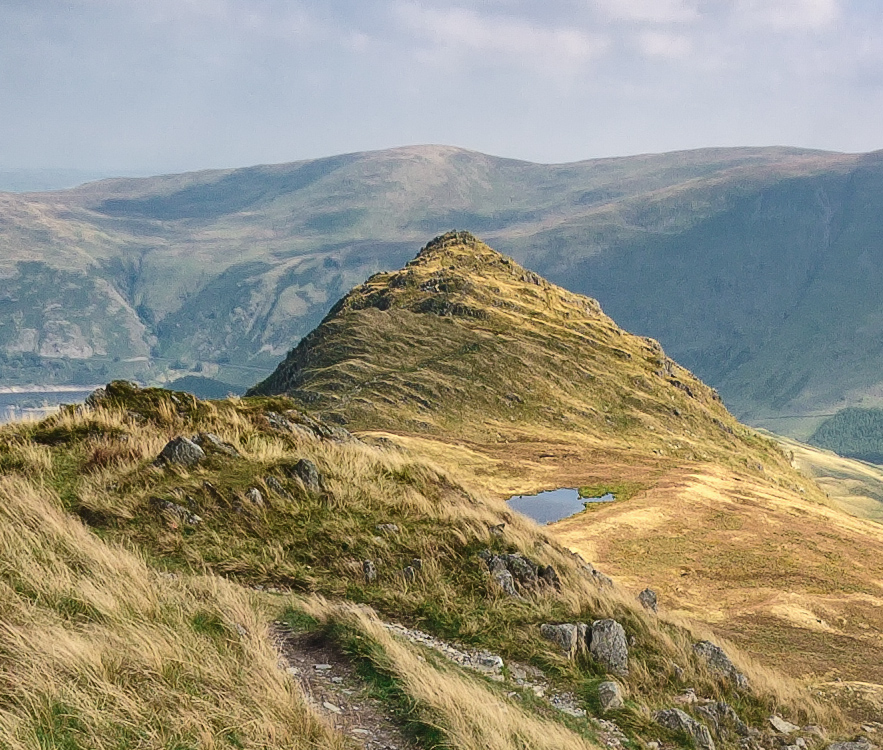 Detail from further back in the image at 100% magnification. Click to enlarge.