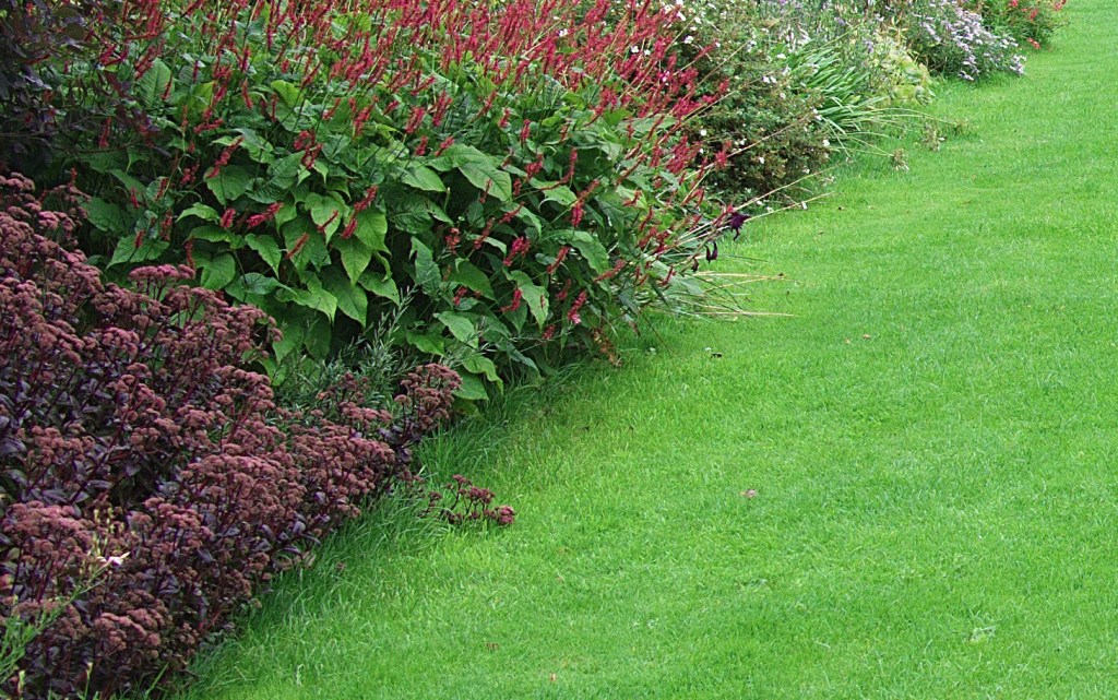 Section from Affinity Photo at 100%