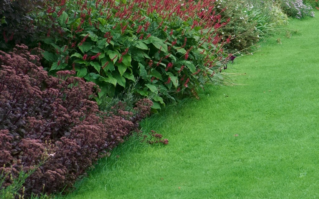 Section from Iridient at 100%