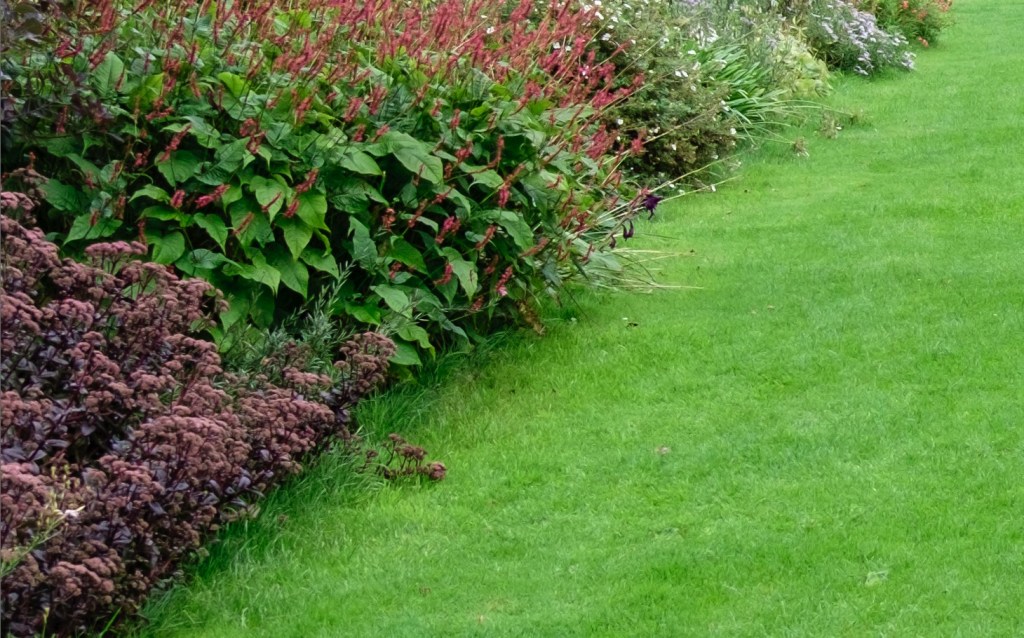 Section of the image from Lightroom at 100%