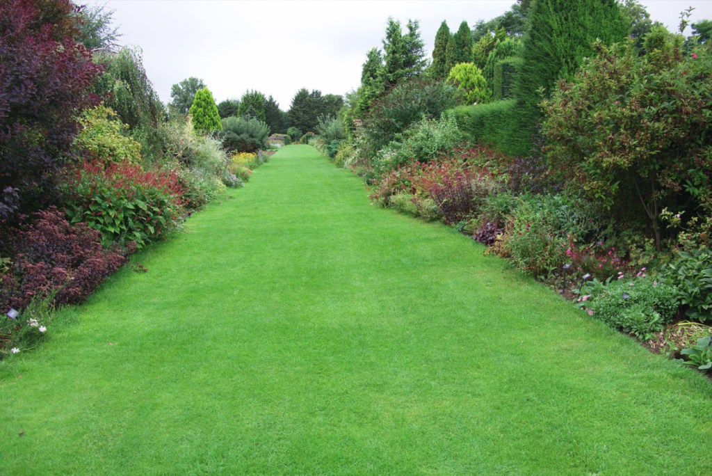 Test file showing large areas of fine detail. The Grass would have been a problem.