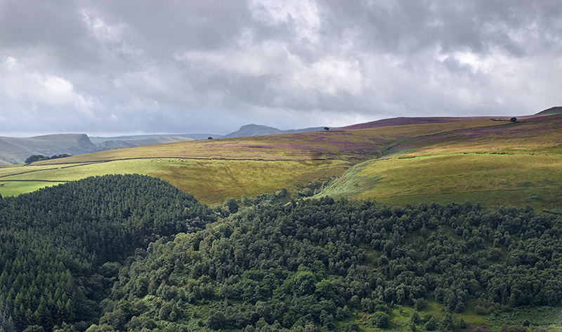 Depth and colour from the Fuji XT1 (with the right processing)