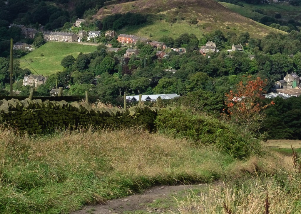 Trees are also more natural