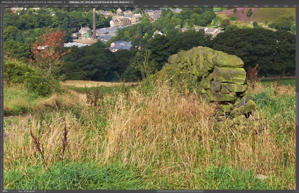 RAW Processed in Capture One