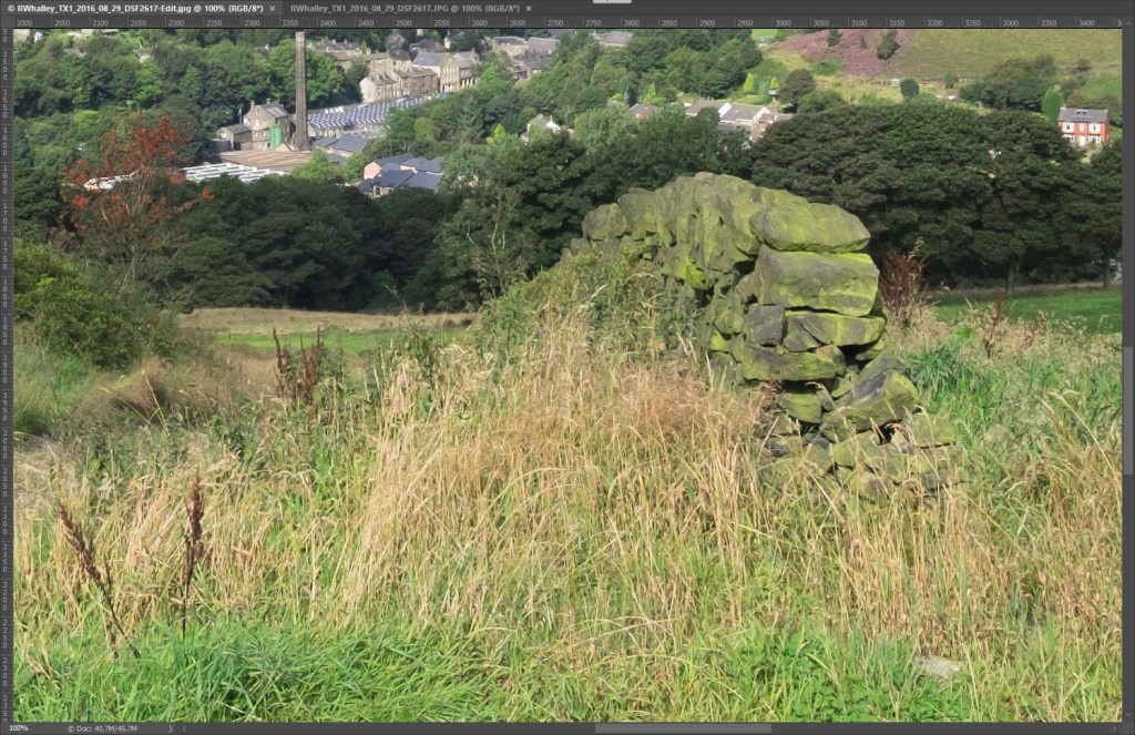 RAW Processed in Lightroom