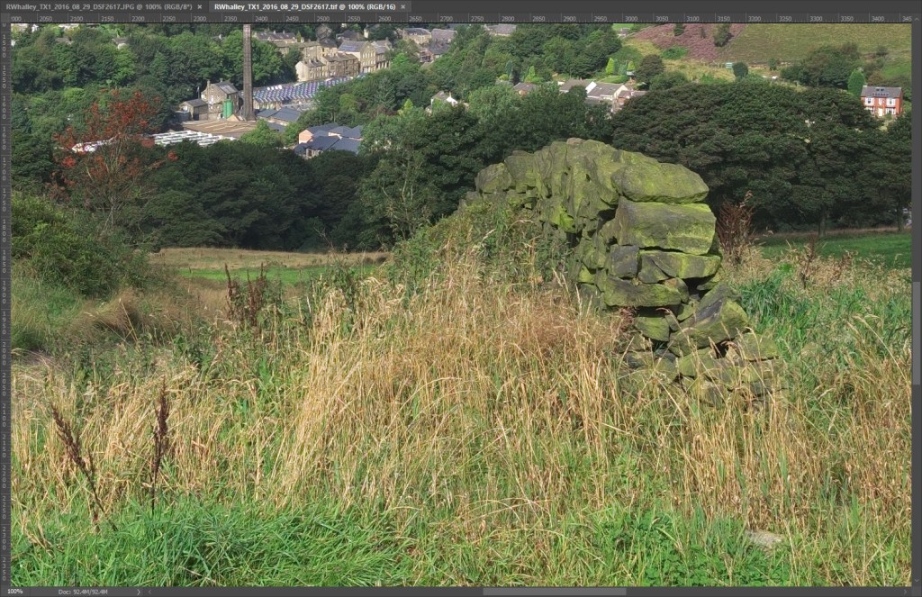 RAW Processed in RAW Therapee