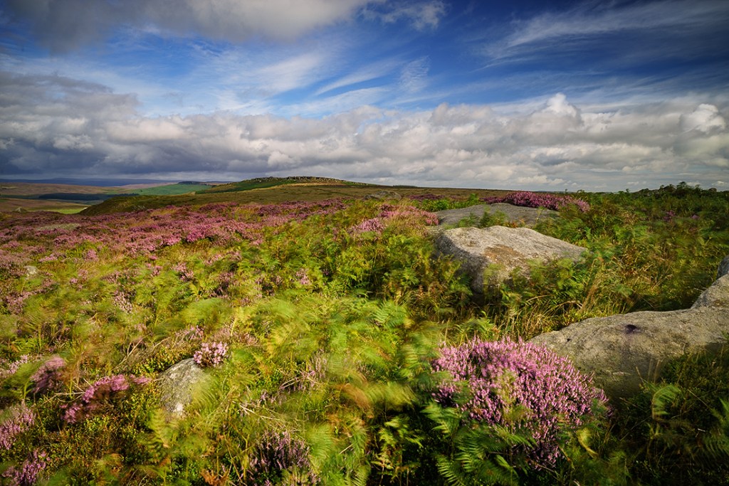 Sony A7r + 16-35mm Lens. ISO50 f/18.0, 1/3". 0.6 ND Grad + Polarising filter.