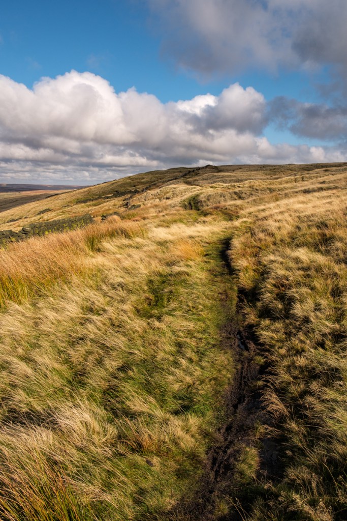 Fuji XT2 - The Moors above Saddleworth.
