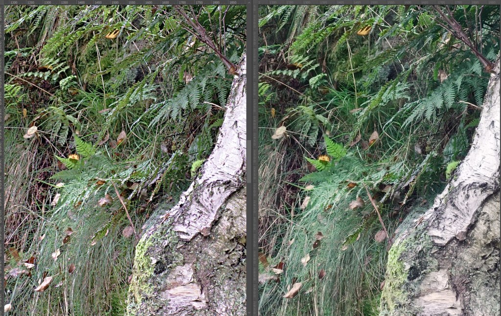 Sinde by side comparison at 100% magnification. Affinity is on the left and Iridient on the right.