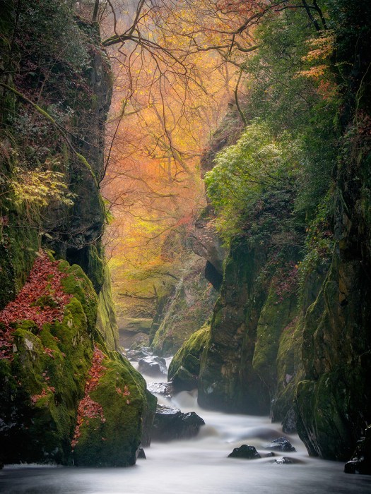 Olympus EM5 with Panasonic 45-150mm lens. Want to know more about how this image was shot and edited? Check the video at the end of the blog.