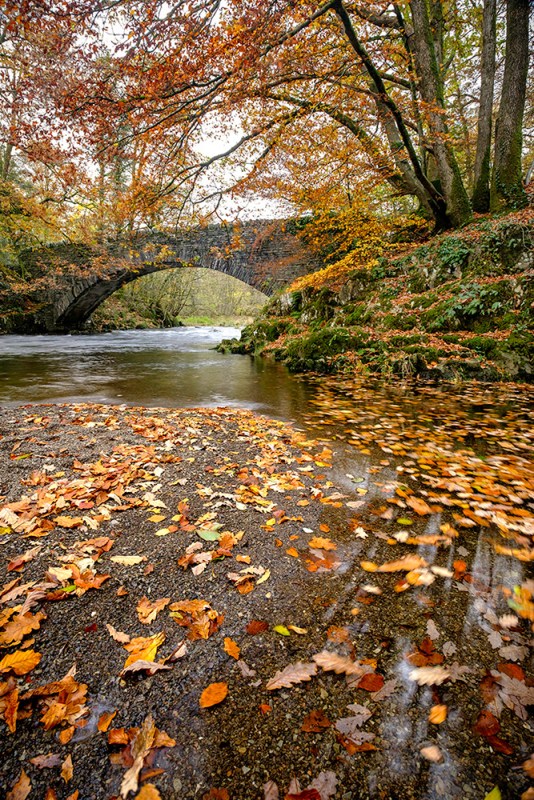 Clappersgate Bridge, The Lake District, UK. Fuji XT2, 10-24 lens. ISO100, 0.6" at f/9.0. Polarizing filter.