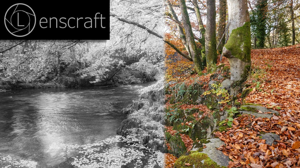 Realistic Infrared simulation using the Nik Collection. Watch the video to find out how.