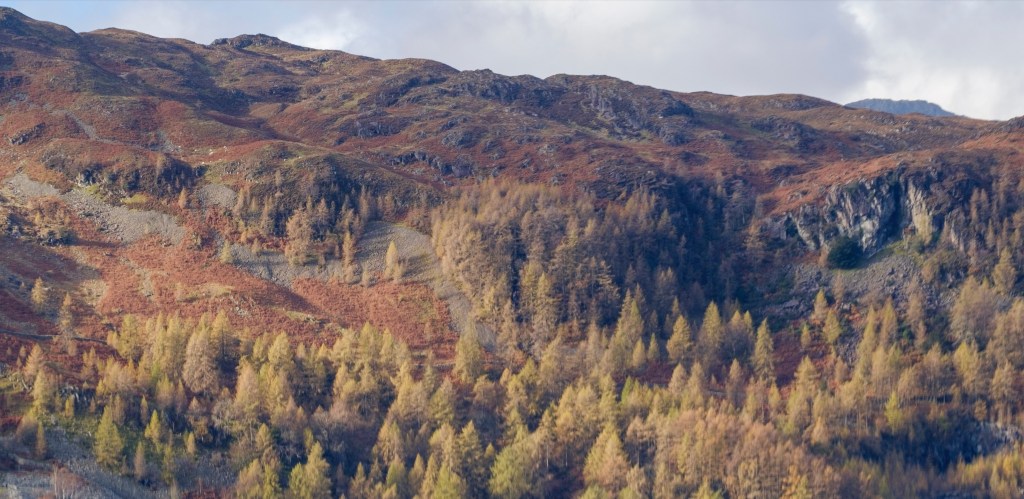 Image section magnified. Click to view at 100%. Only the top left of the frame is in focus.