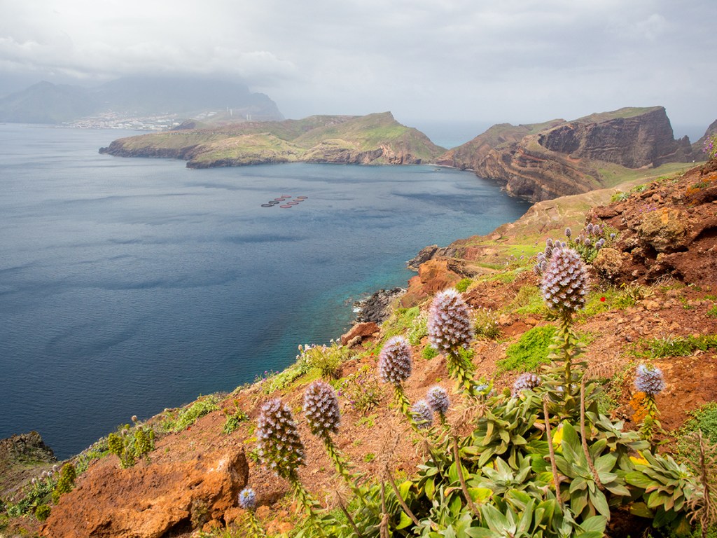 Ponta de Sao Lourenco, Madeira