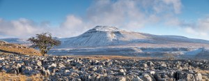 Ingleborough from Twistleton Scar in the Yorkshire Dales.