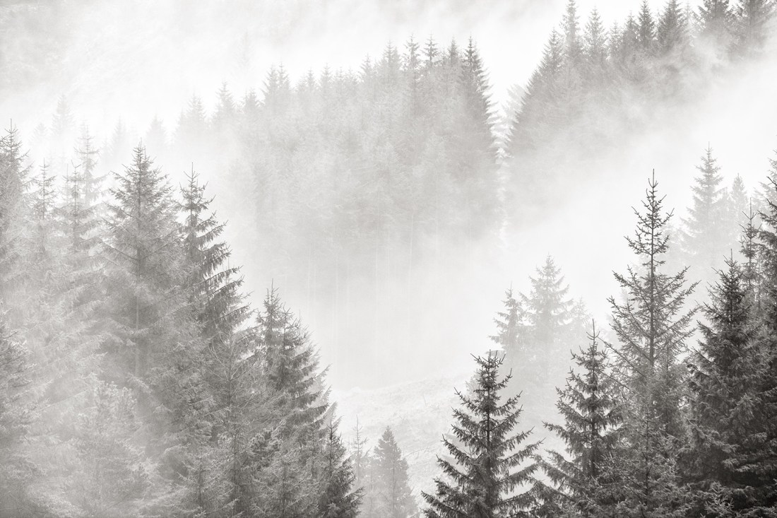Misty morning in the Peak District