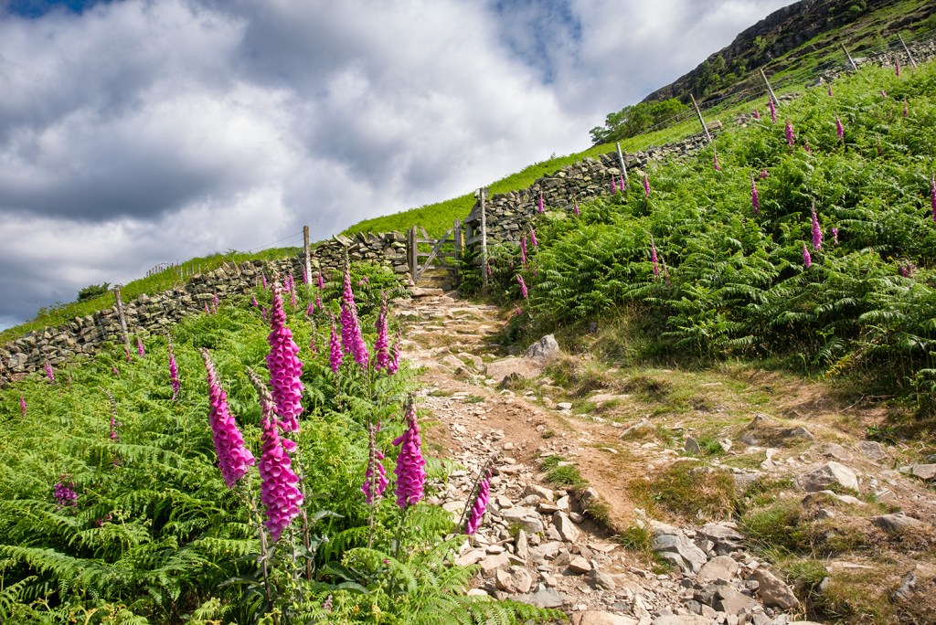 Walla Crag, The Lake District, Cumbria.