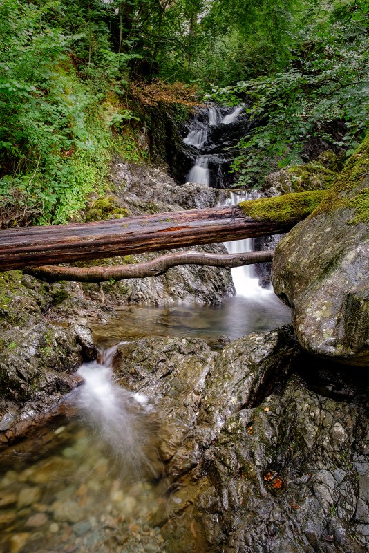 Steam at Seatoller, The Lake District.