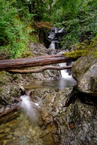 Steam at Seatoller, The Lake District.
