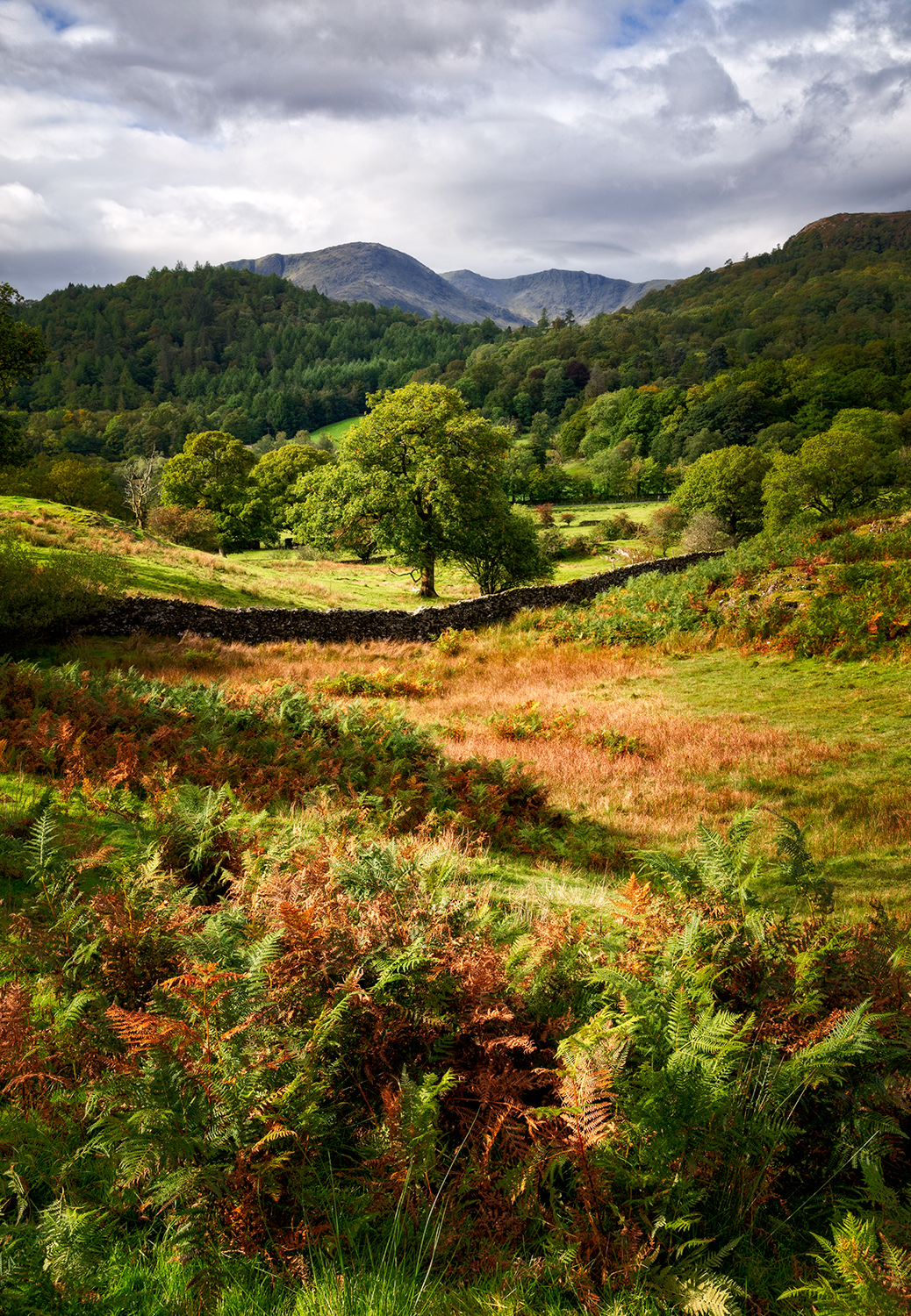 Langdale Valley, The Lake District