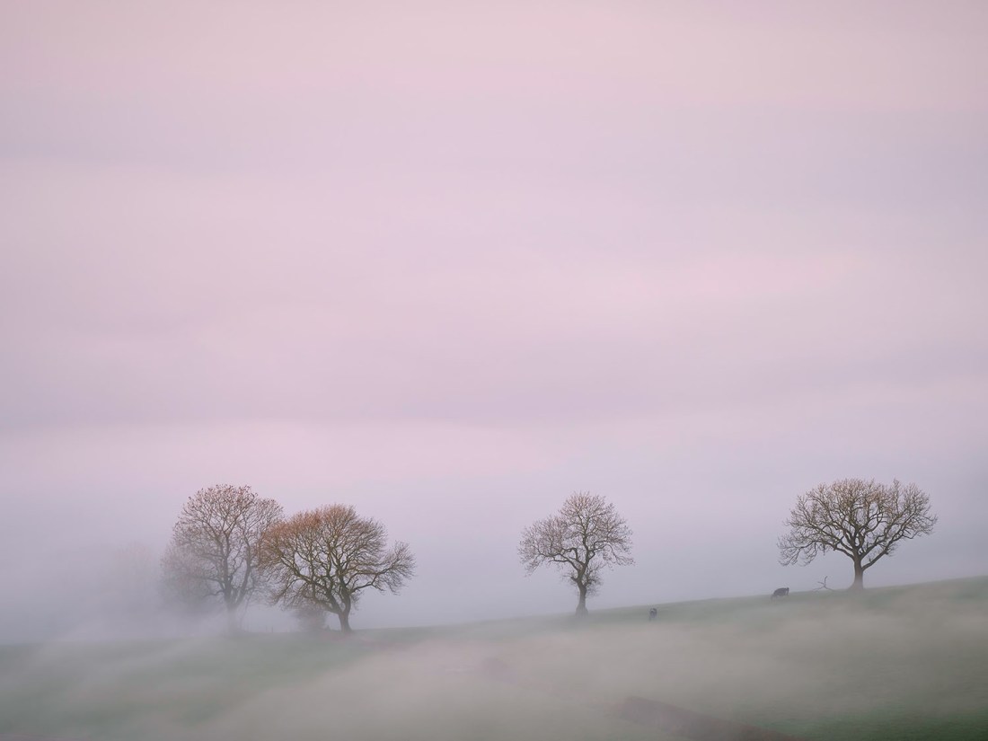 View from the Roaches on a foggy morning.