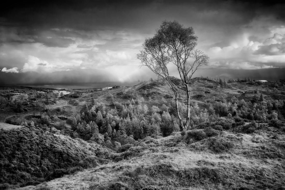 Holme Fell, Lake District. Fuji XT2 converted to Infrared