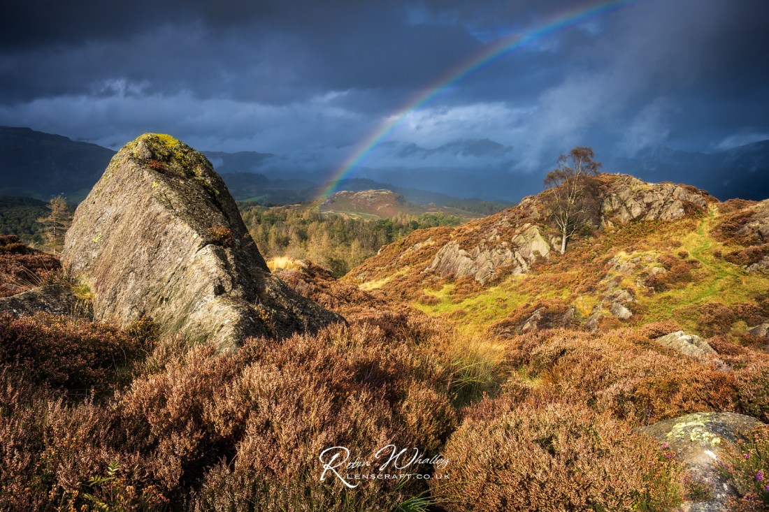 View on Holme Fell, The Lake District